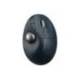 RATON KENSINGTON OPTICO TRACKBALL PRO FIT ERGO TB550 INALAMBRICO 1600 DPI MINI USB 2,4 GHZ COLOR NEGRO