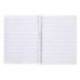 CUADERNO ESPIRAL LIDERPAPEL DIN A5 PAUTAGUIA TAPA PLASTICO 80H 90GR CUADRO PAUTADO 4MM CON MARGEN COLOR ROJO