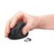 RATON Q-CONNECT OPTICO INALAMBRICO ERGONOMICO VERTICAL DPI 800/1200/1600 PILA AA NEGRO
