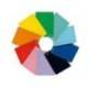 CUADERNO ESPIRAL LIDERPAPEL DIN A4 WITTY TAPA DURA 80H 90GR LISO SIN MARGEN COLORES SURTIDOS