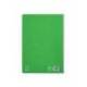 CUADERNO ESPIRAL LIDERPAPEL DI N A4 PAUTAGUIA TAPA BLANDA 80H 75 GR CUADRO PAUTADO 4MM COLOR VERDE