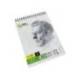 BLOC DIBUJO LIDERPAPEL ESBOZOS ESPIRAL DIN A6 105X148MM 100 HOJAS 90GR/M2 SIN RECUADRO