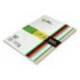 Papel Liderpapel Colores Surtidos 80 g/m2 A4 100 hojas
