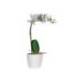 FLOR ARTIFICIAL PAPERFLOW ORQUIDEA BLANCA 40 CM