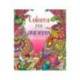 CUADERNO DE COLOREAR SUSAETA ANIMALES COLOREAR POR NUMEROS 64 PAGINAS 21,5X25 CM