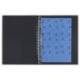 Carpeta multifin alfa plastico de 16 anillas folio