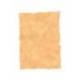 Papel pergamino DIN A4 troquelado color Ocre parchment