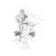Lapices de grafito marca Faber Castell 9000 4H