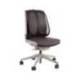 Respaldo ergonómico marca Fellowes mesh office suites almohadillas lumbares