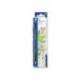 Lapiz de Color Staedtler Wopex Ecológico Hexagonal Color Verde