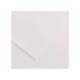 Cartulina Guarro color blanco 500 x 650 mm 185 g/m2