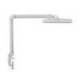 LAMPARA DE ESCRITORIO MAUL LED CON PINZA CABEZAL INCLINABLE Y GIRATORIO COLOR BLANCO